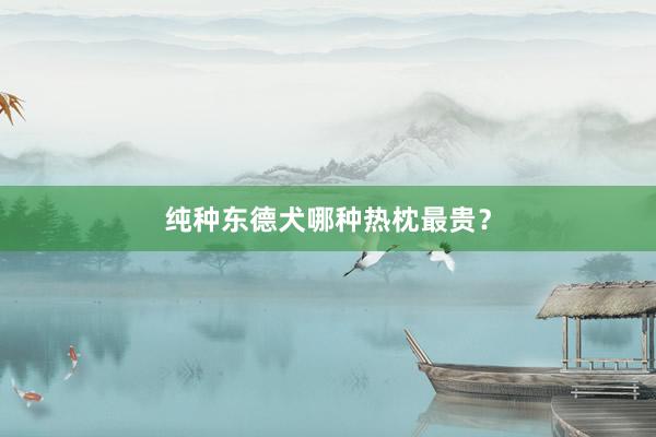 纯种东德犬哪种热枕最贵？